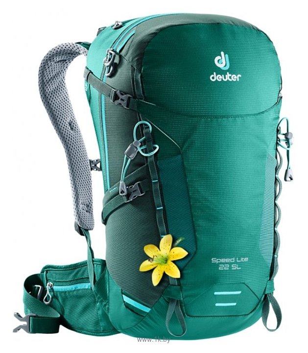 Фотографии Deuter Speed Lite 22 SL green (alpinegreen/forest)