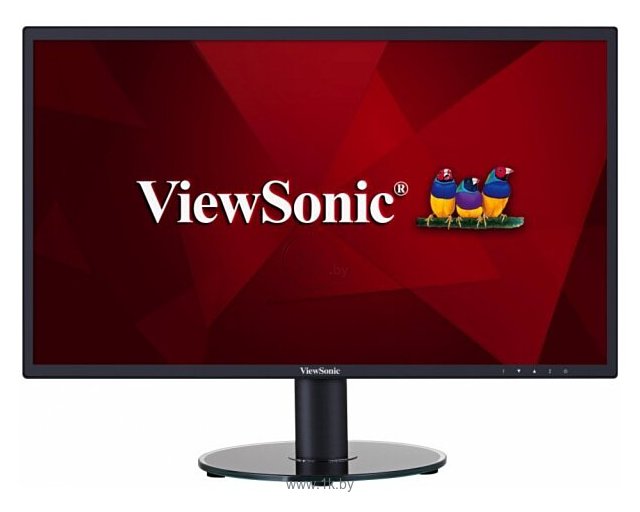 Фотографии Viewsonic VA2419-SH (VS16422)