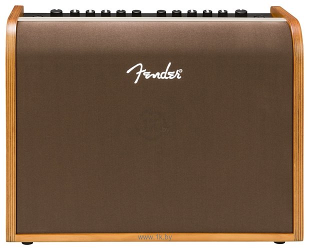 Фотографии Fender Acoustic 100