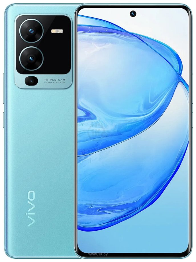 Фотографии Vivo V25 Pro 12/256GB