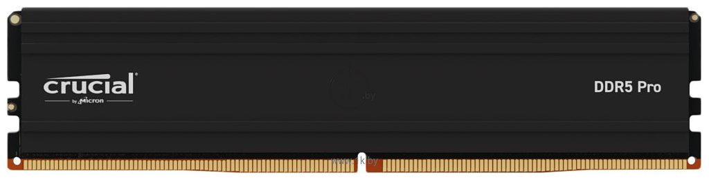 Фотографии Crucial Pro CP24G60C48U5