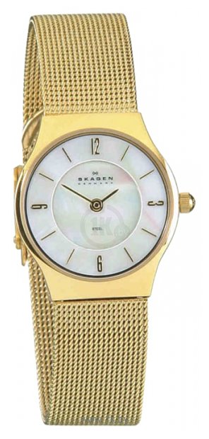 Фотографии Skagen 233XSGG