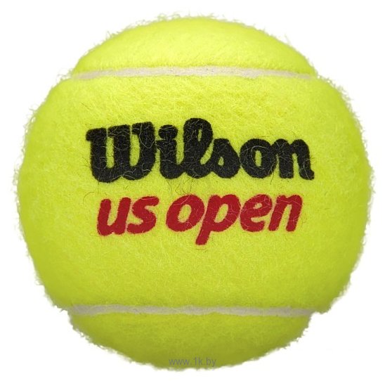 Фотографии Wilson US Open WRT106200 (3 шт)