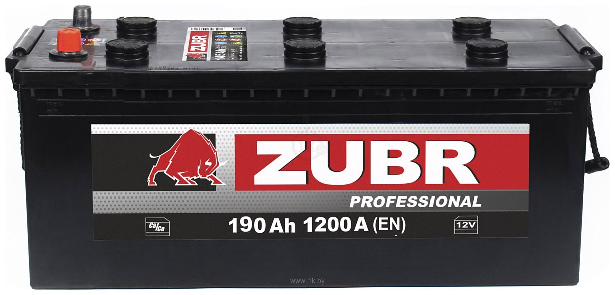 Фотографии Zubr Professional L+ Турция (190Ah)