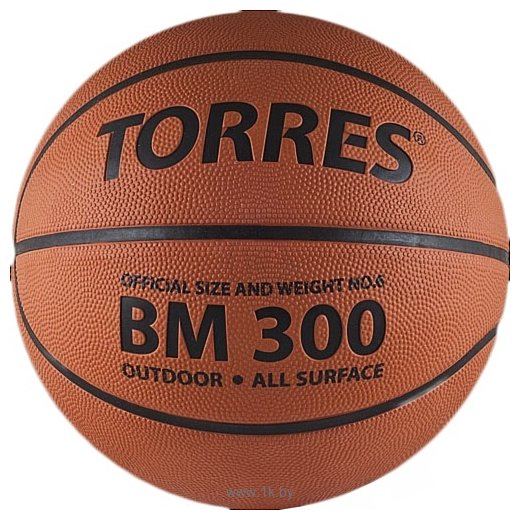 Фотографии Torres BM300 (7 размер)