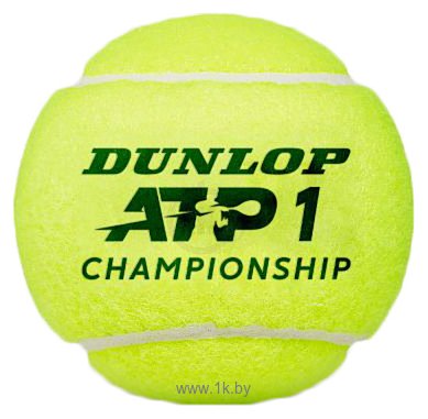 Фотографии Dunlop ATP Championship (3 шт)