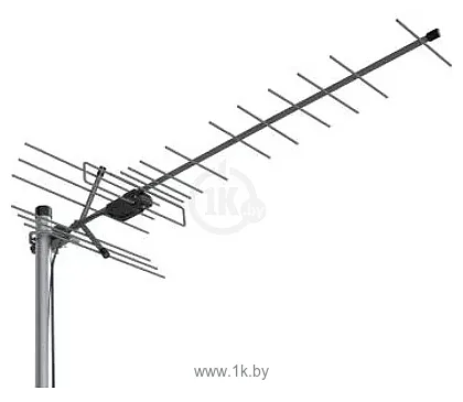 Фотографии LOCUS L 035.18D