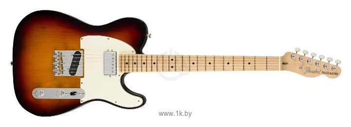 Фотографии Fender American Performer Telecaster Hum