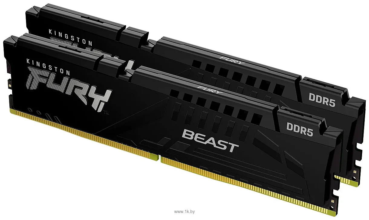 Фотографии Kingston FURY Beast KF556C36BBEK2-128