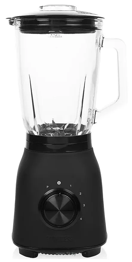 Фотографии Princess 212092