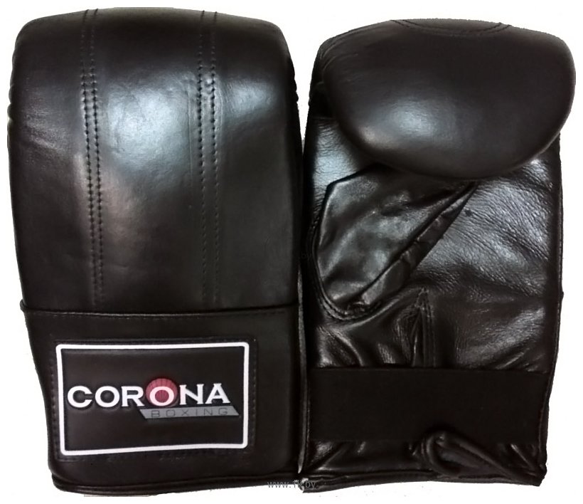 Фотографии Corona Boxing 2051