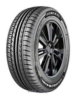 Фотографии Federal Formoza AZ01 205/65 R15 95H