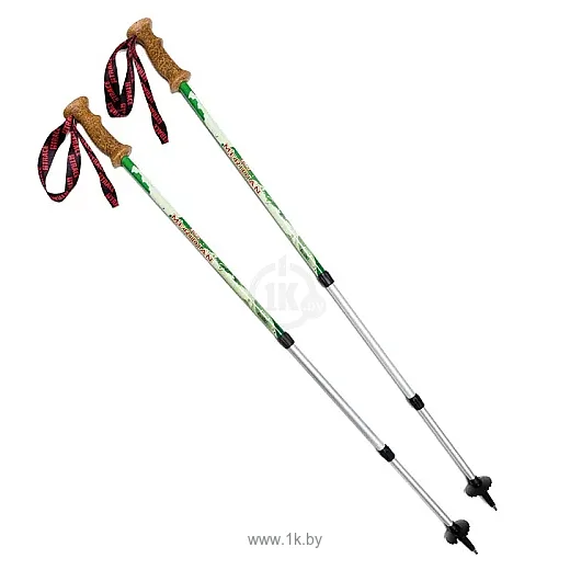 Фотографии BTrace Meridian P0524