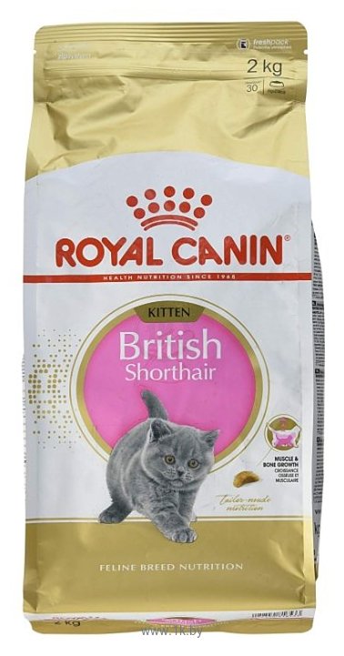 Фотографии Royal Canin (2 кг) British Shorthair Kitten