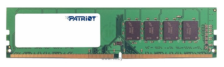 Фотографии Patriot Memory PSD44G240081