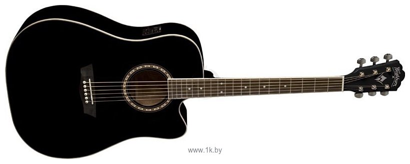 Фотографии Washburn WD10CEB