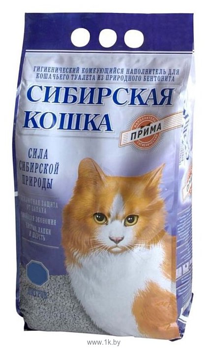 Фотографии Сибирская кошка Прима 10л