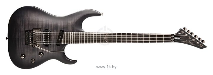 Фотографии Washburn PXS29