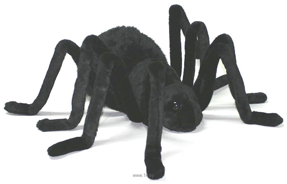 Фотографии Hansa Сreation Гигантский черный паук 5052 (75 см)