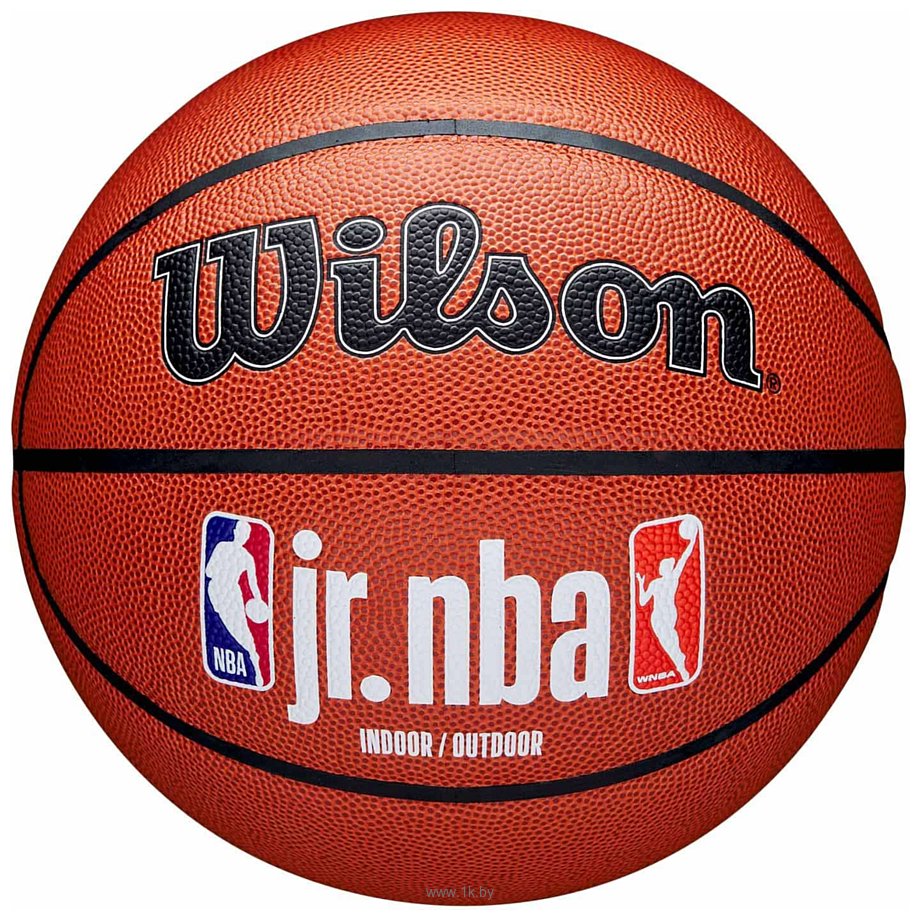 Фотографии Wilson JR.NBA Fam Logo Indoor Outdoor WZ2009801XB7 (размер 7)