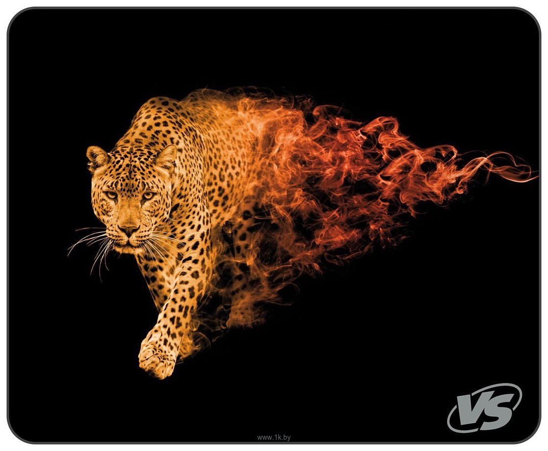 Фотографии VS Flames Леопард