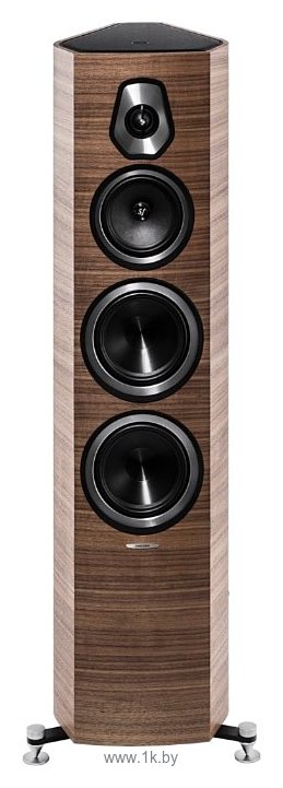 Фотографии Sonus Faber Sonetto V