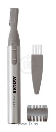 Фотографии JAGUAR J-Cut Liner