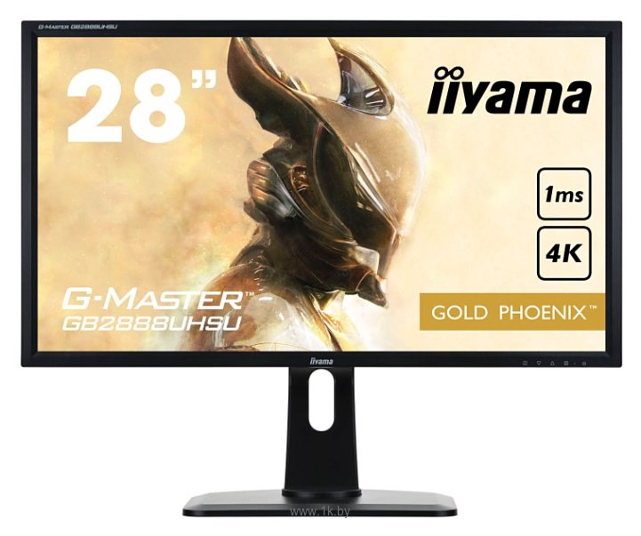 Фотографии Iiyama G-Master GB2888UHSU-1