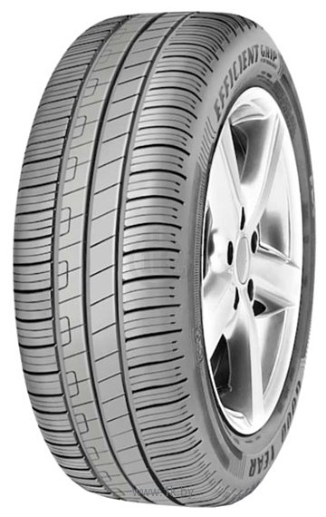 Фотографии GoodYear EfficientGrip Performance Fl 205/55 R16 91V