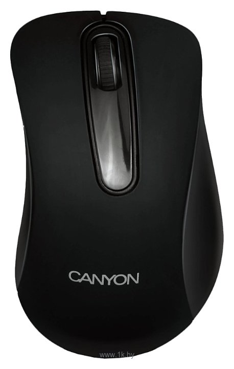 Фотографии Canyon CNE-CMS2 black USB