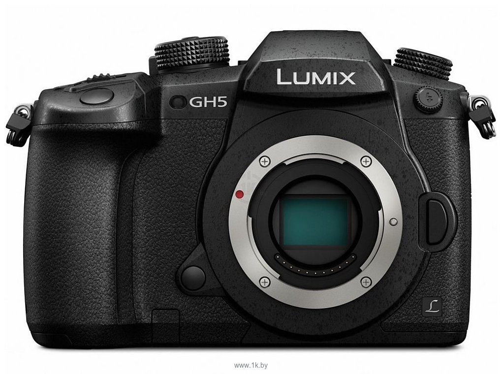 Фотографии Panasonic Lumix GH5 Body