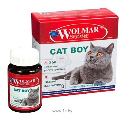 Фотографии Wolmar Winsome Cat Boy
