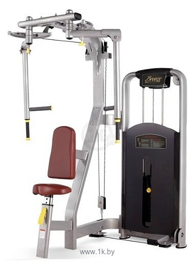 Фотографии Bronze Gym MV-002A