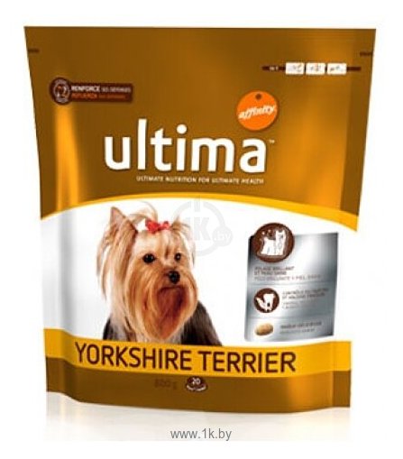 Фотографии Ultima (0.8 кг) Yorkshire Terrier