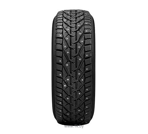 Фотографии Taurus Ice 205/65 R15 99T