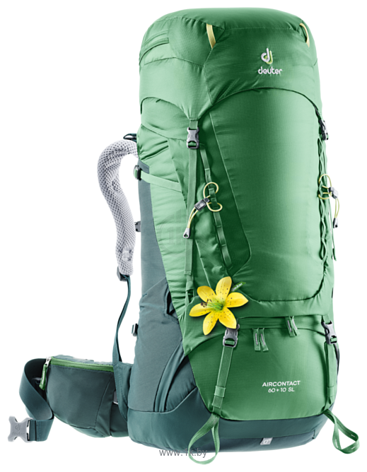 Фотографии Deuter Aircontact 60+10 SL green (leaf forest)