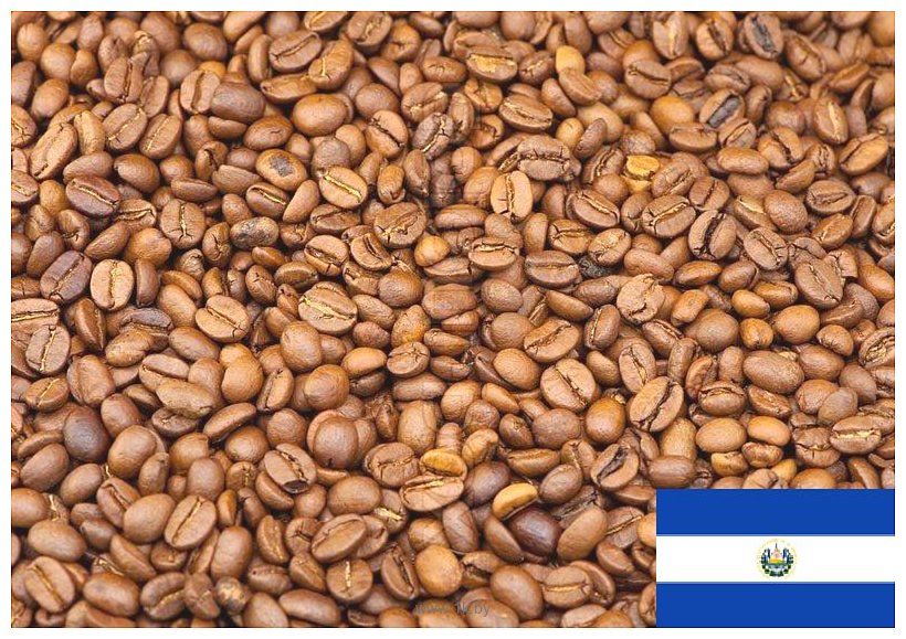 Фотографии Coffee Everyday Арабика Сальвадор в зернах 250 г