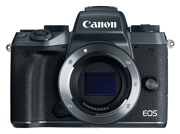 Фотографии Canon EOS M5 Body