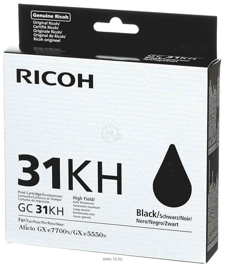 Фотографии Аналог Ricoh GC 31KH (405701)