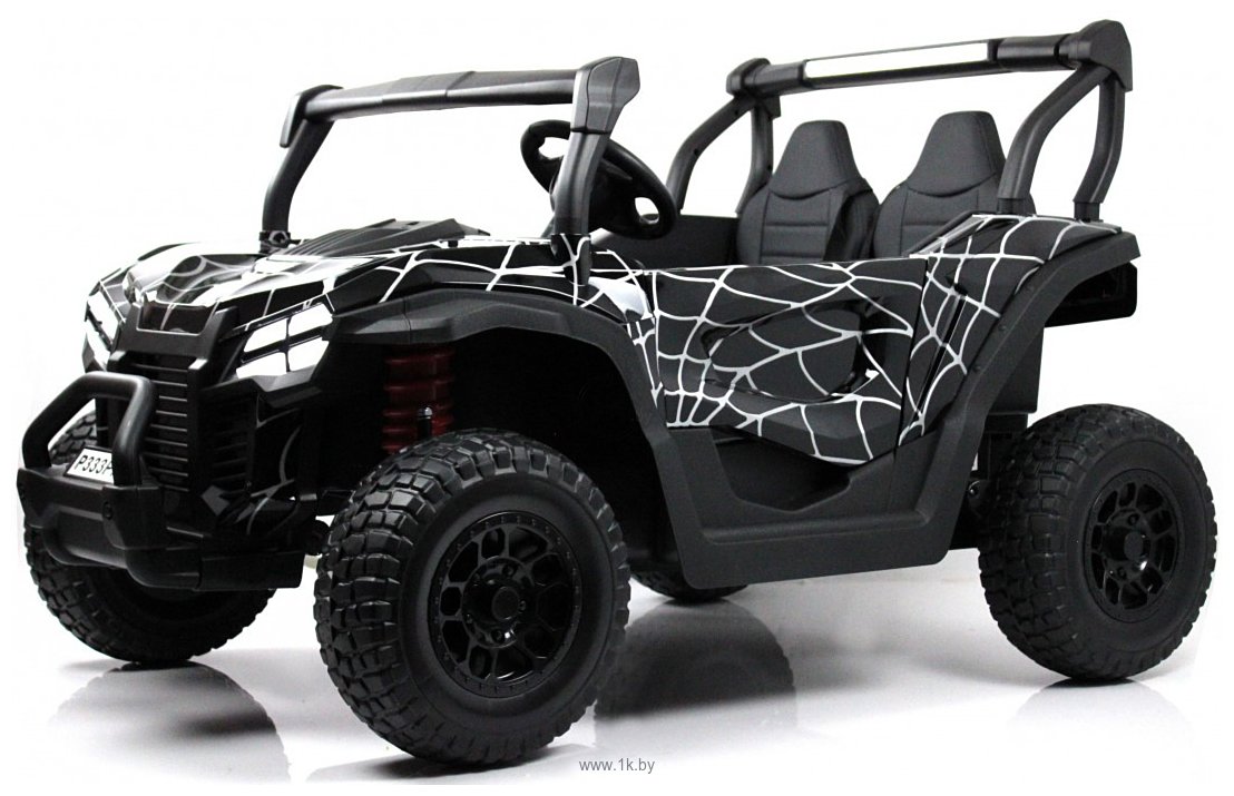 Фотографии RiverToys P333PP Buggy (черный Spider)