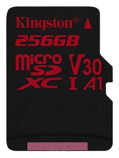 Фотографии Kingston SDCR/256GB