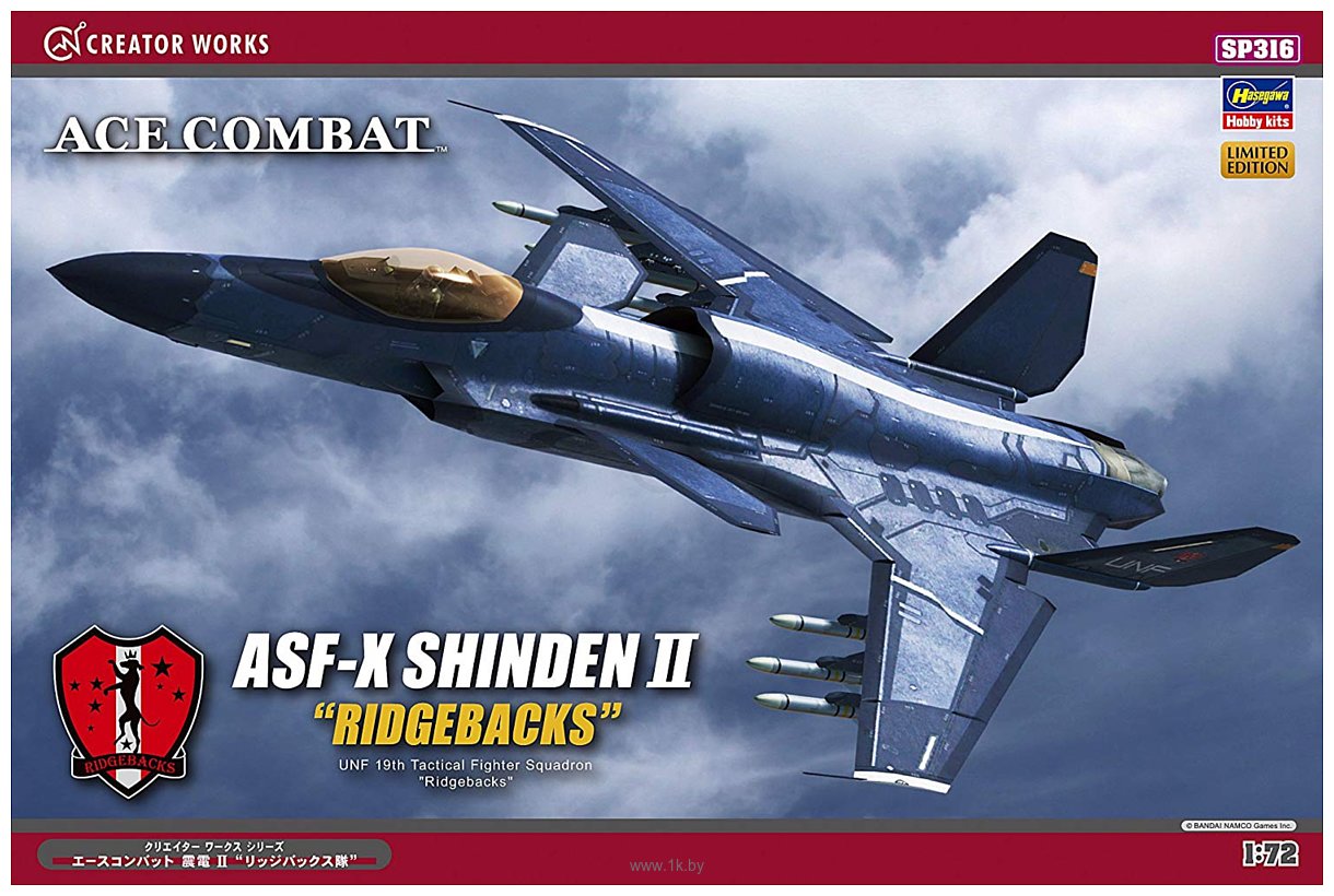 Фотографии Hasegawa Ace Combat ASF-X Shinden II "Ridgebacks"