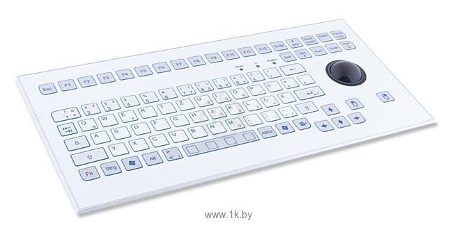 Фотографии InduKey TKS-088c-TB38-MODUL-USB-US/CYR KS19256 White USB