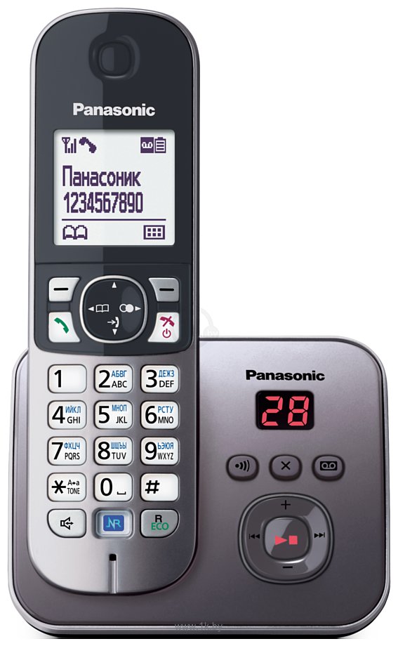 Фотографии Panasonic KX-TG6821RUM