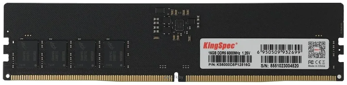 Фотографии KingSpec KS6000D5P12516G