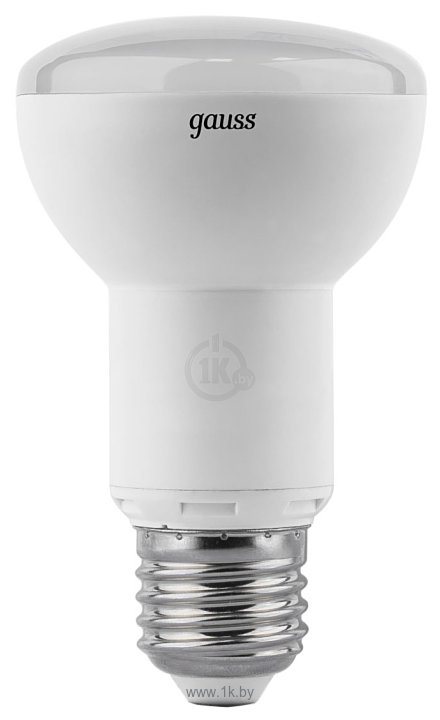 Фотографии Gauss LED R63 9W 2700K E27 106002109