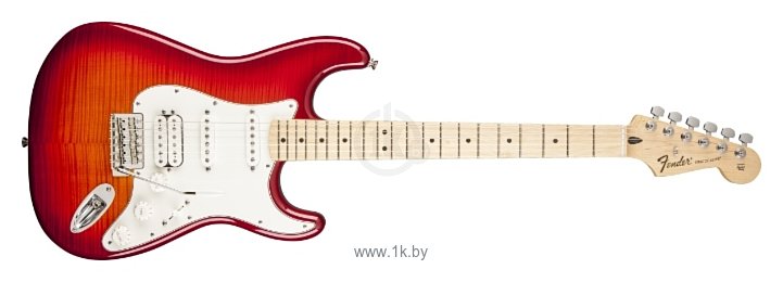 Фотографии Fender Standard Stratocaster HSS Plus Top