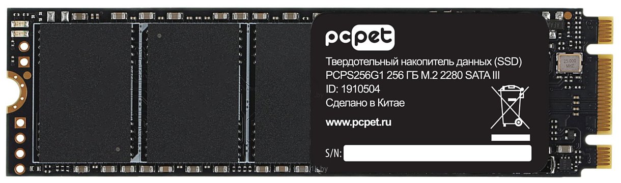 Фотографии PC Pet 256GB PCPS256G1