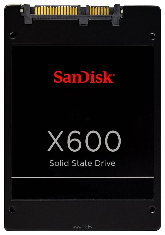 Фотографии SanDisk X600 256GB SD9SB8W-256G-1006