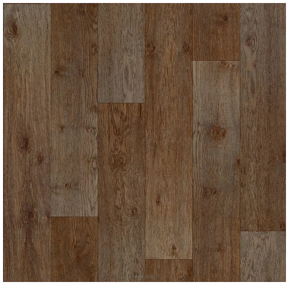 Фотографии Синтерос Activa Dublin 2